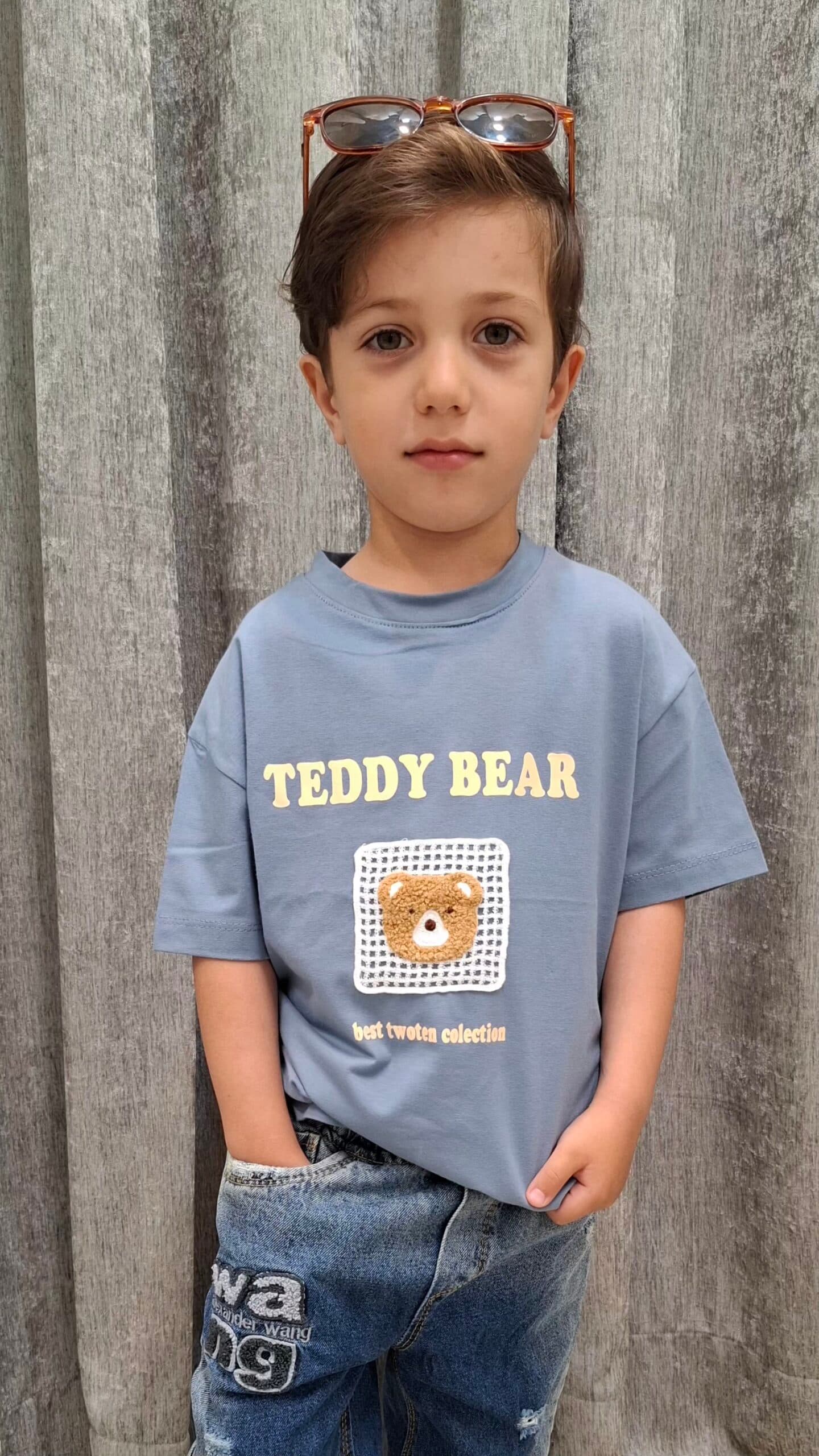 تیشرت خرس گلدوزی شده Teddy Bear (بچگانه)