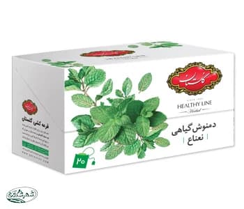 دمنوش گیاهی نعنا گلستان تی پگ
