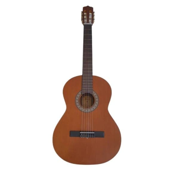 گیتارکلاسیک پارسی PARSI_ M3