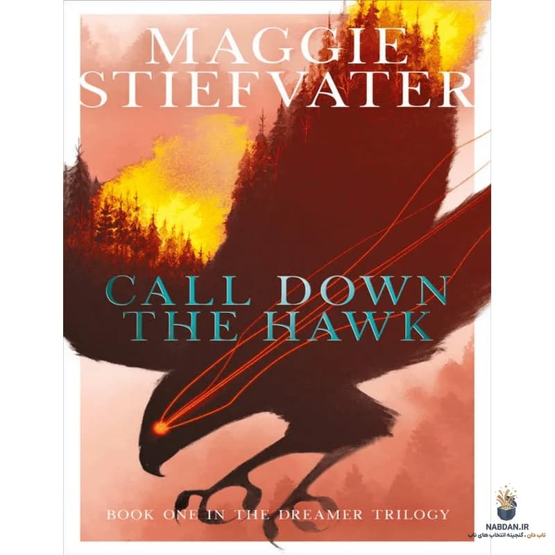 کتاب Call Down the Hawk (شاهین را فرابخوان) نسخه انگلیسی PDF / مگی استیفواتر — تصویر ۲