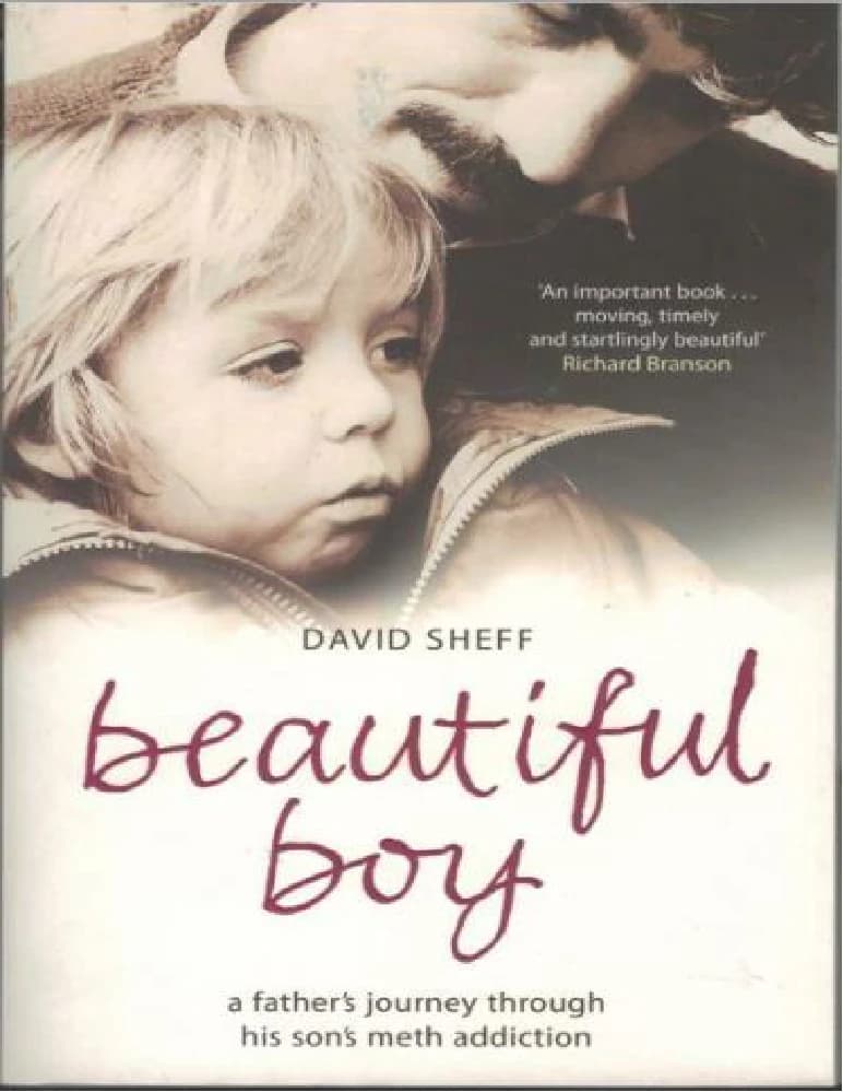 کتاب Beautiful Boy (پسر زیبا) نسخه انگلیسی PDF / دیوید شف — تصویر ۳