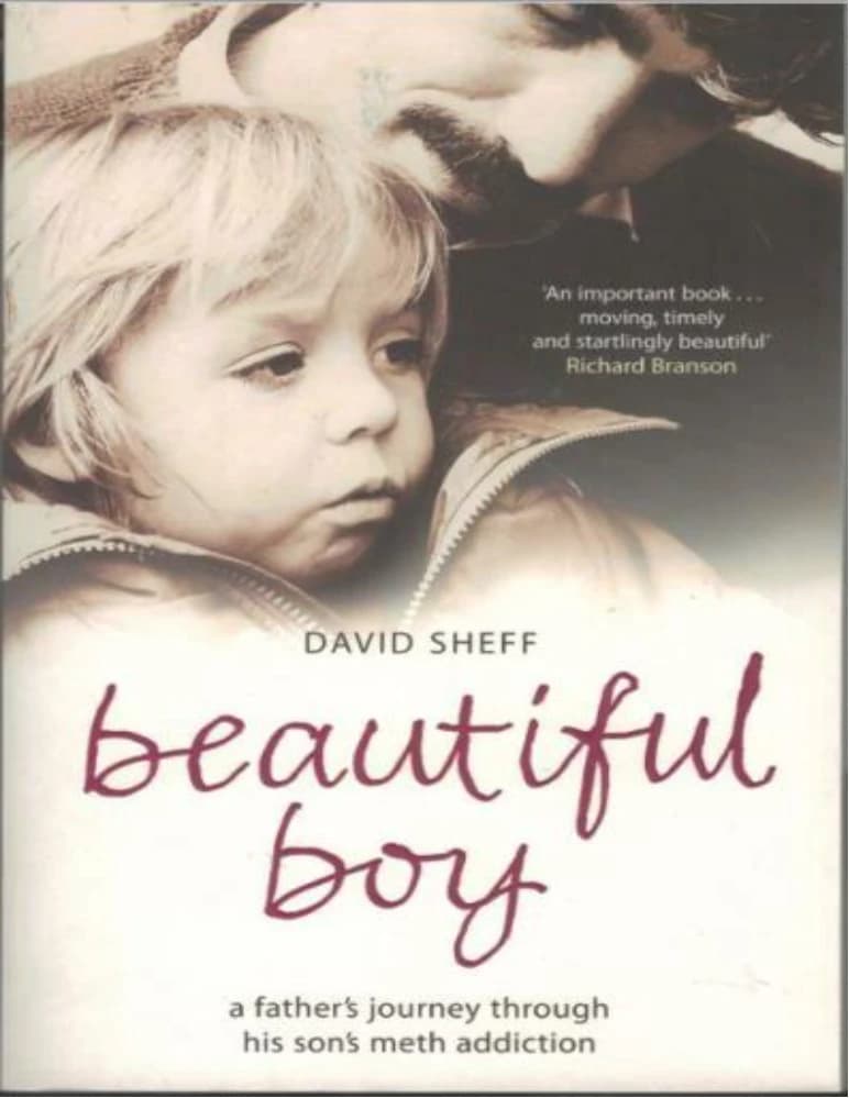 کتاب Beautiful Boy (پسر زیبا) نسخه انگلیسی PDF / دیوید شف — تصویر ۴