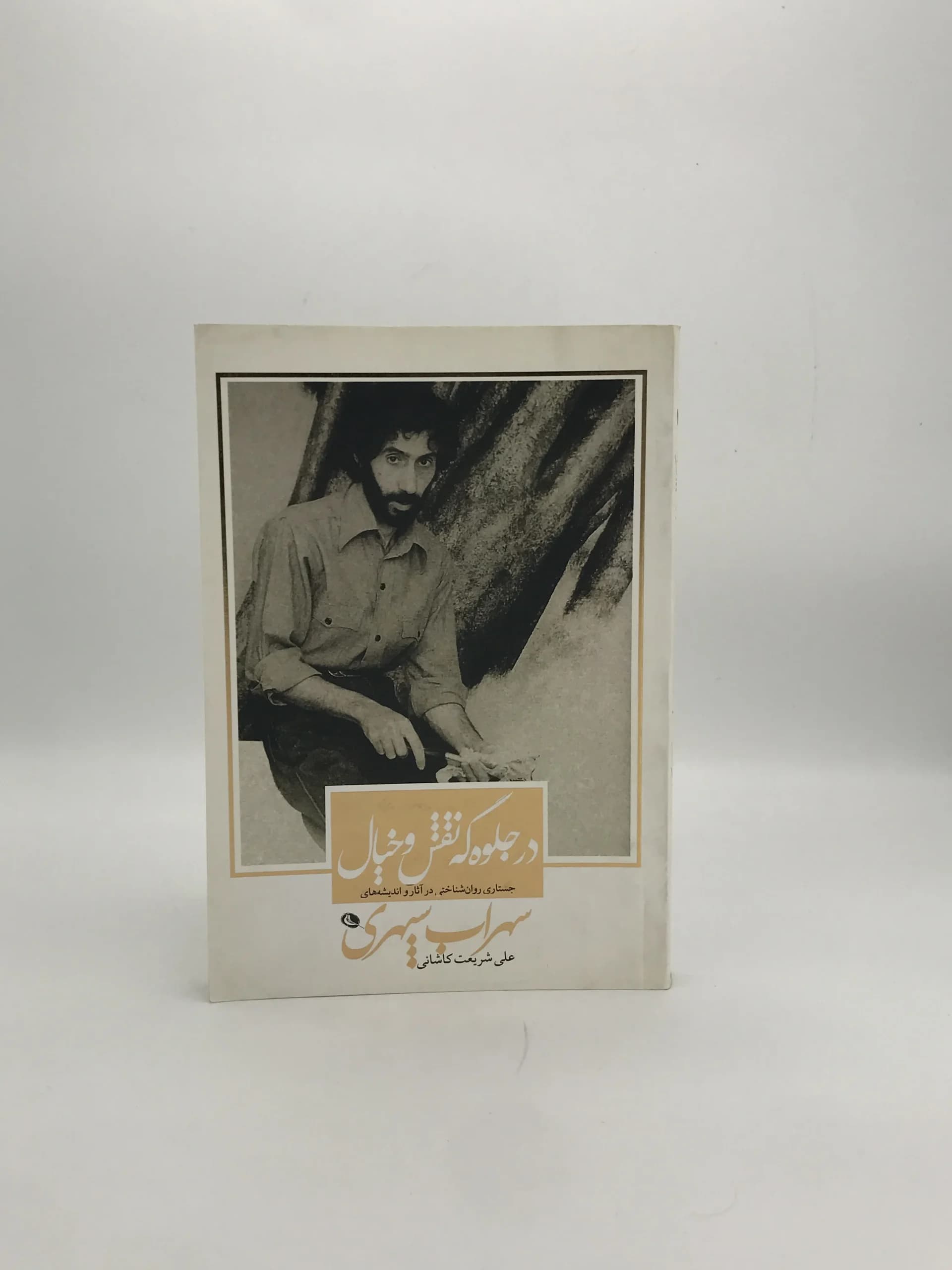 در جلوه گه نقش و خیال نوشته علی شریعت کاشانی