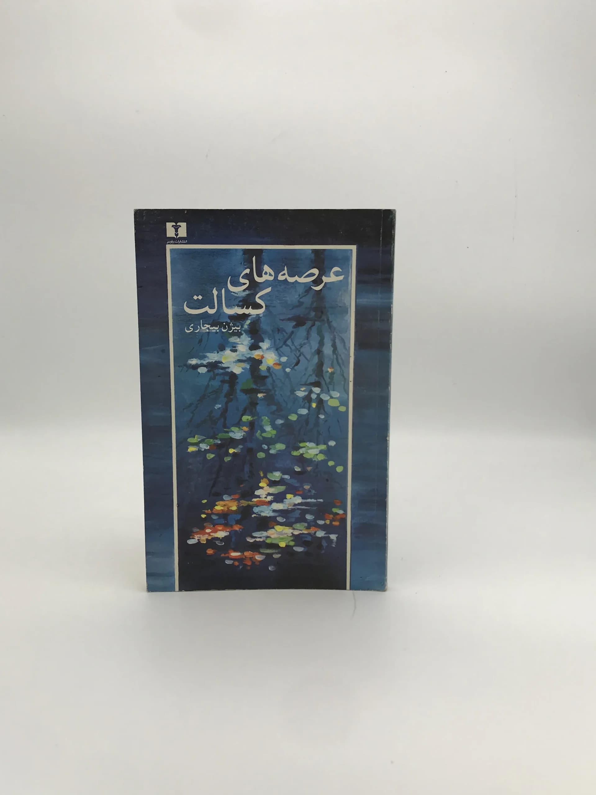 عرصه های کسالت نوشته بیژن بیجاری