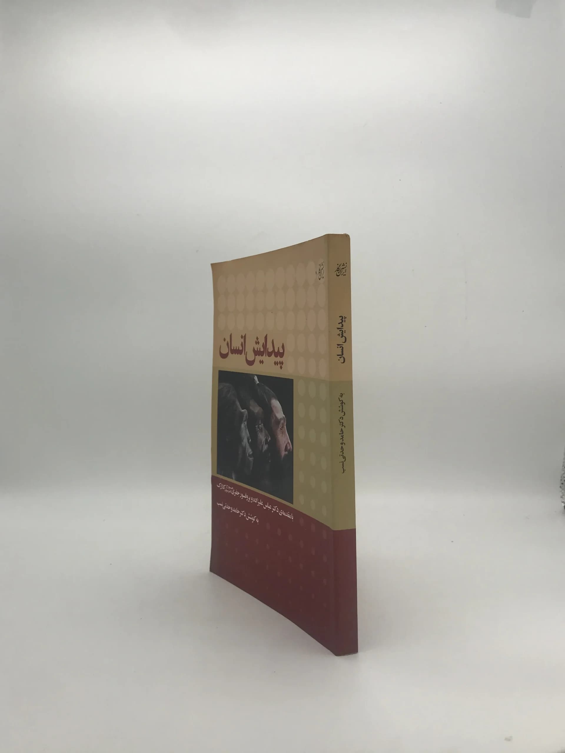 پیدایش انسان نوشته حامد وحدتی نسب — تصویر ۴
