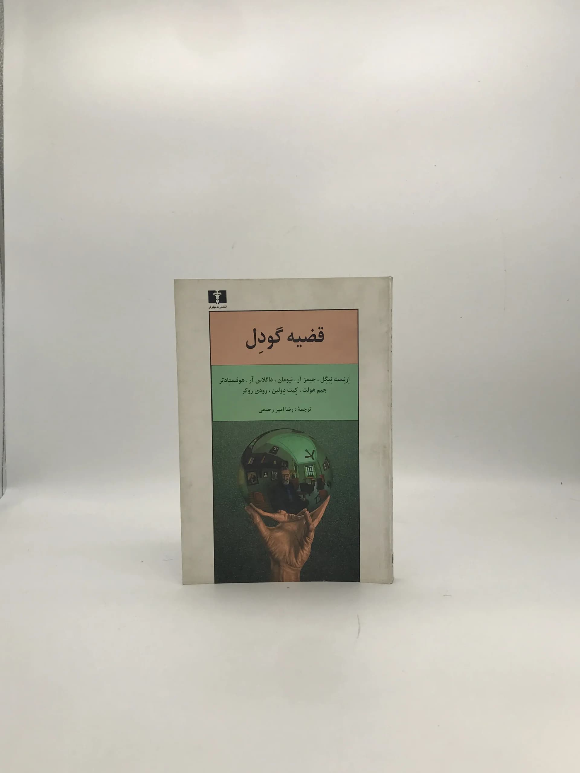 قضیه گودل نوشته جمعی از نویسندگان