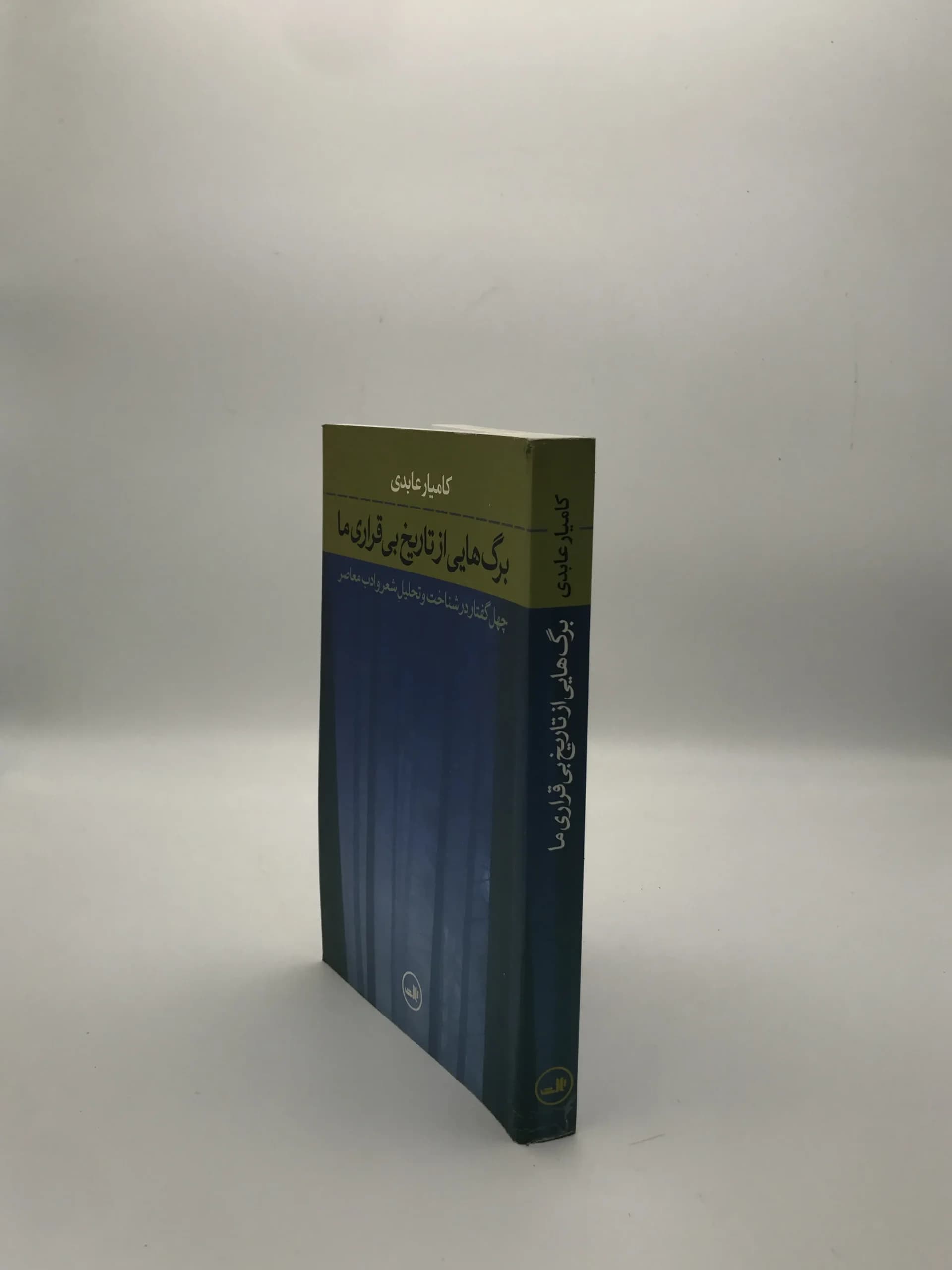 برگهایی از تاریخ بیقراری ما نوشته کامیار عابدی — تصویر ۴