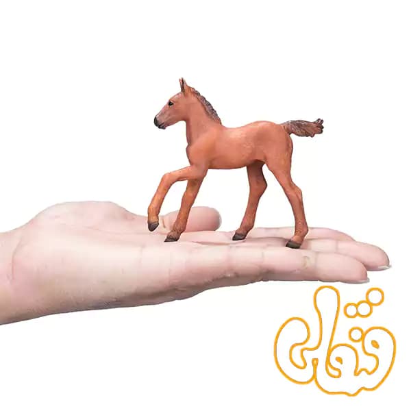 فیگور کره اسب عربی قهوه ای موجو Arabian Foal Chestnut 381019 — تصویر ۵