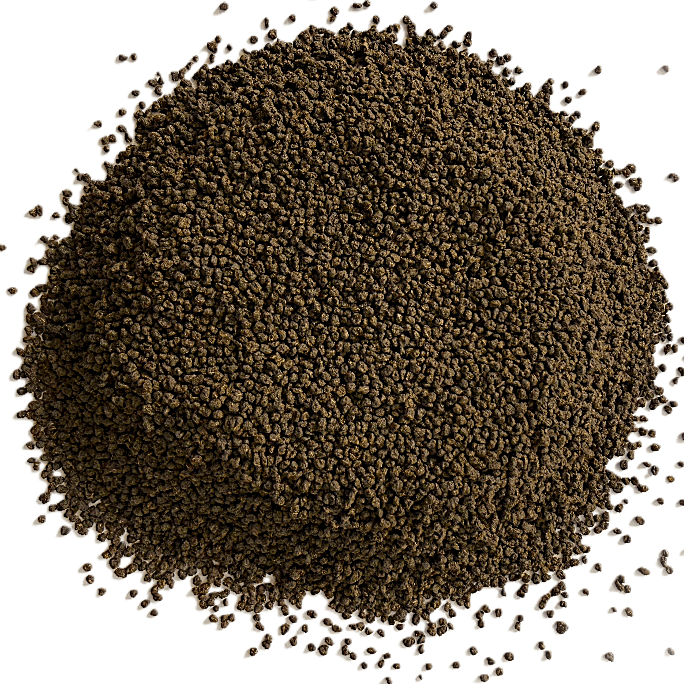 چای سی تی سی هندوستان