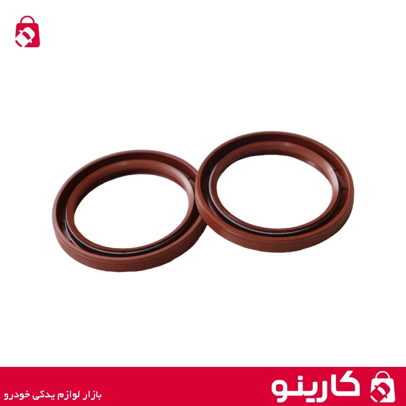 کاسه نمد میل سوپاپ فنر دار پژو 206 ویژن 2 عددی
