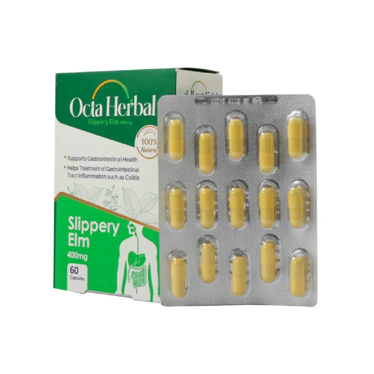 کپسول اکتاهربال اسلیپری الم فاران شیمی 60 عدد | Faran Shimi Octa Herbal Slippery Elm 60 Capsules — تصویر ۳