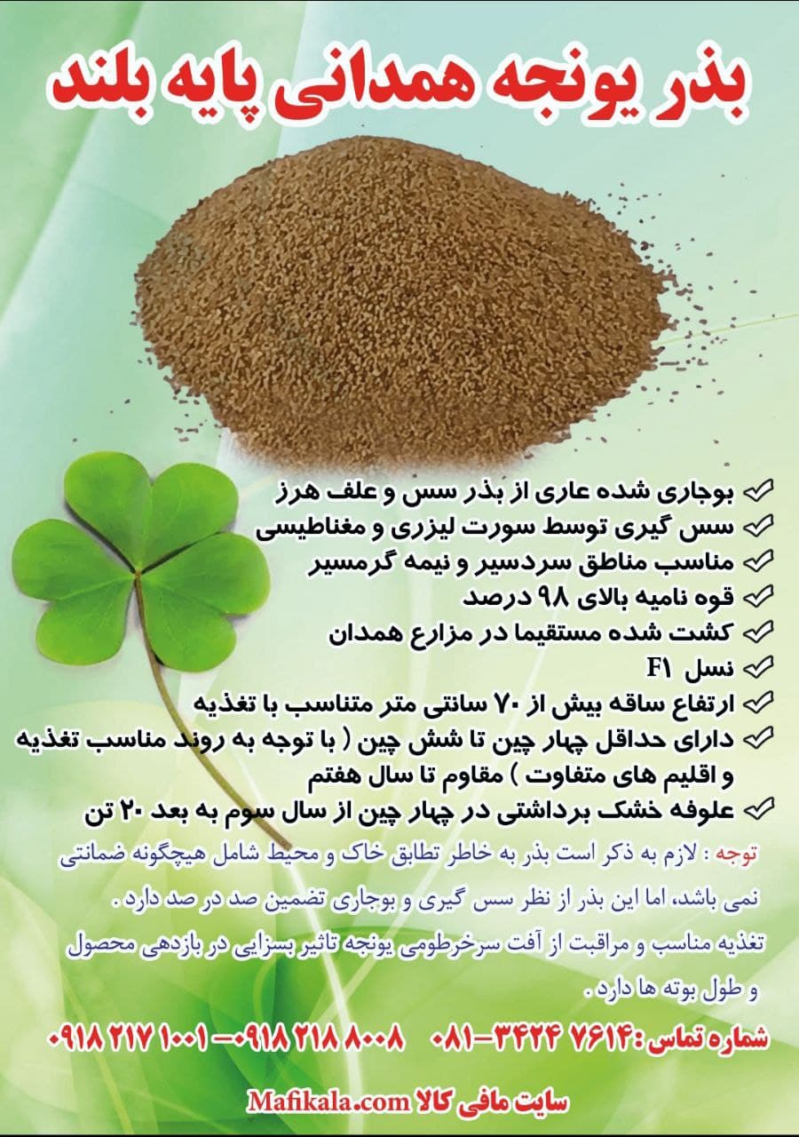 بذر یونجه همدانی پایه بلند کیسه 10 کیلویی
