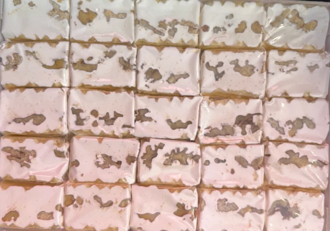 نوقا گردویی افتخاری تبریز — تصویر ۵