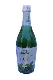 شربت نعنا ممتاز – بهارنشان