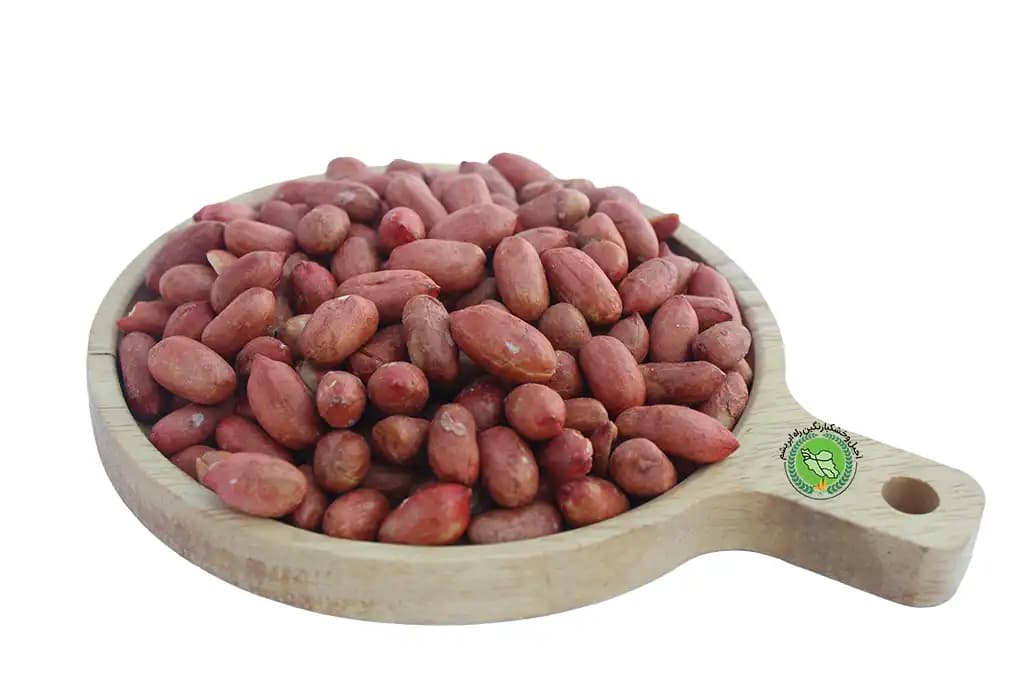 مغز بادام زمینی آستانه ترش