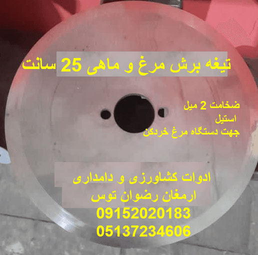 تیغه برش مرغ و ماهی 25 سانت