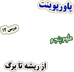 پاورپوینت علوم تجربی پنجم، درس 12: از ریشه تا برگ