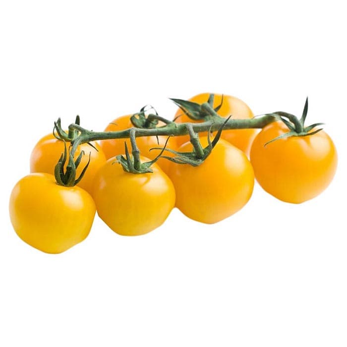 بذر گوجه فرنگی زرد پرتقالی خوشه ای پوندروسا بسته 30 عددی — تصویر ۵