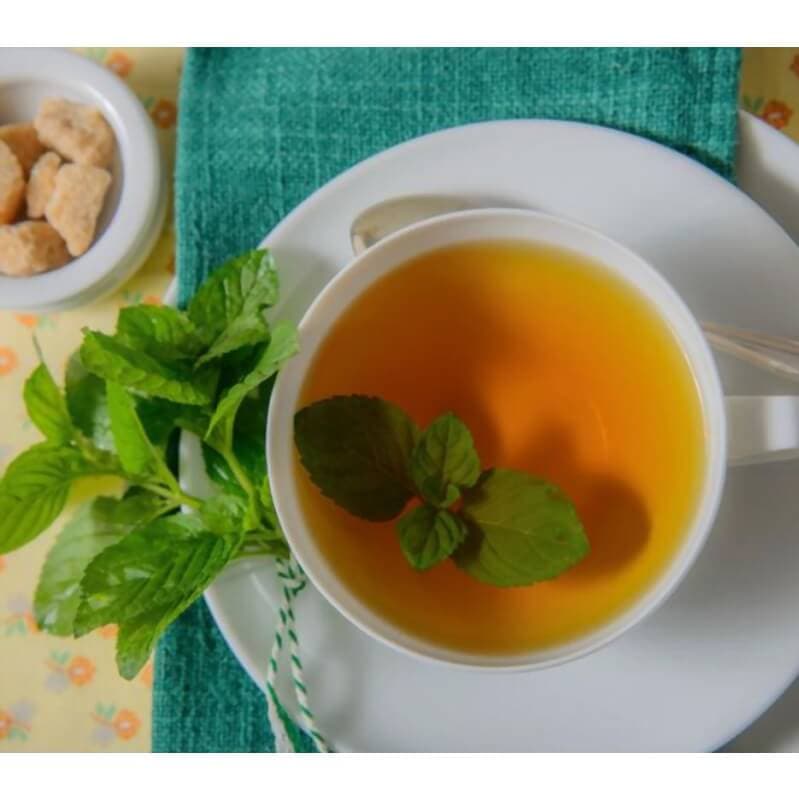 بذر پونه خوش عطر اصیل ایرانی بسته ۲۰۰ عددی — تصویر ۳
