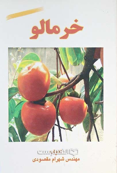 خرمالو — تصویر ۲
