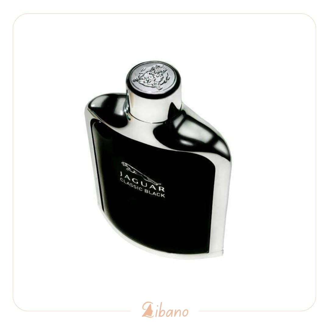 عطر ادکلن جگوار کلاسیک بلک (جگوار مشکی) 100 میل | Jaguar Classic Black — تصویر ۵