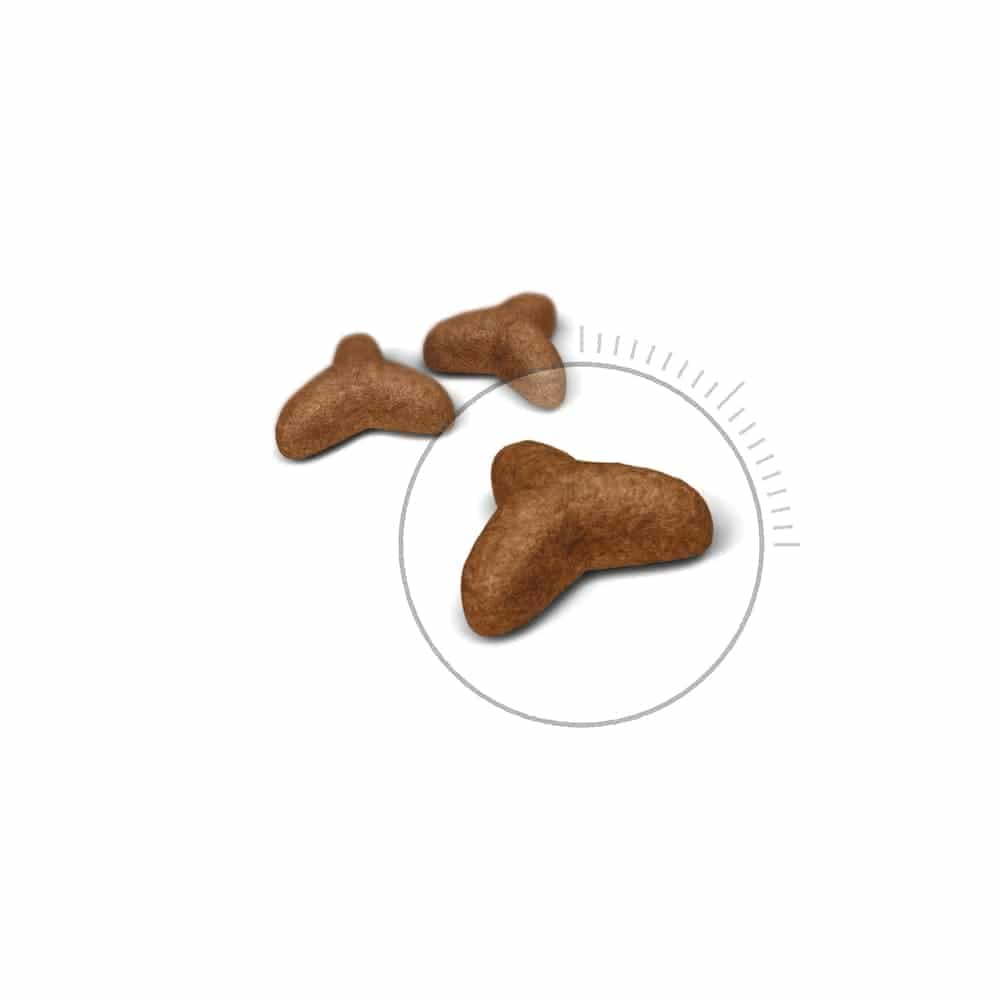 غذای خشک گربه رویال کنین مدل Light Weight Care برای جلوگیری از افزایش وزن وزن ۱.۵ کیلوگرم — تصویر ۲
