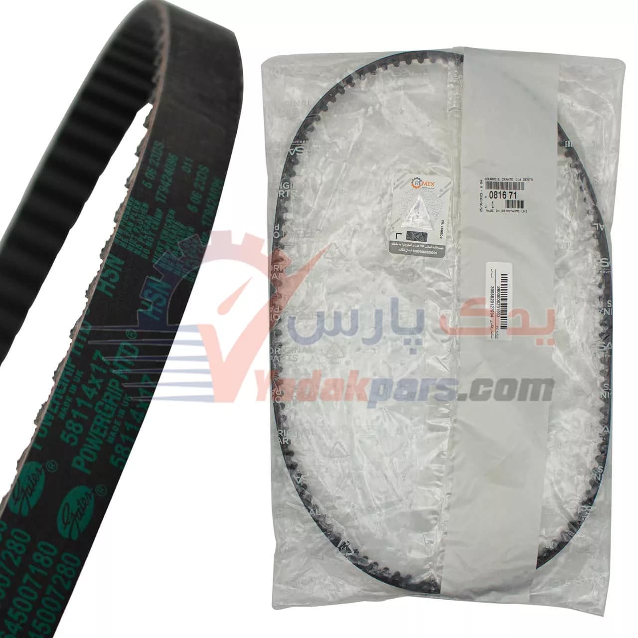 تسمه تایم اورجینال 405 (PSA) — تصویر ۲