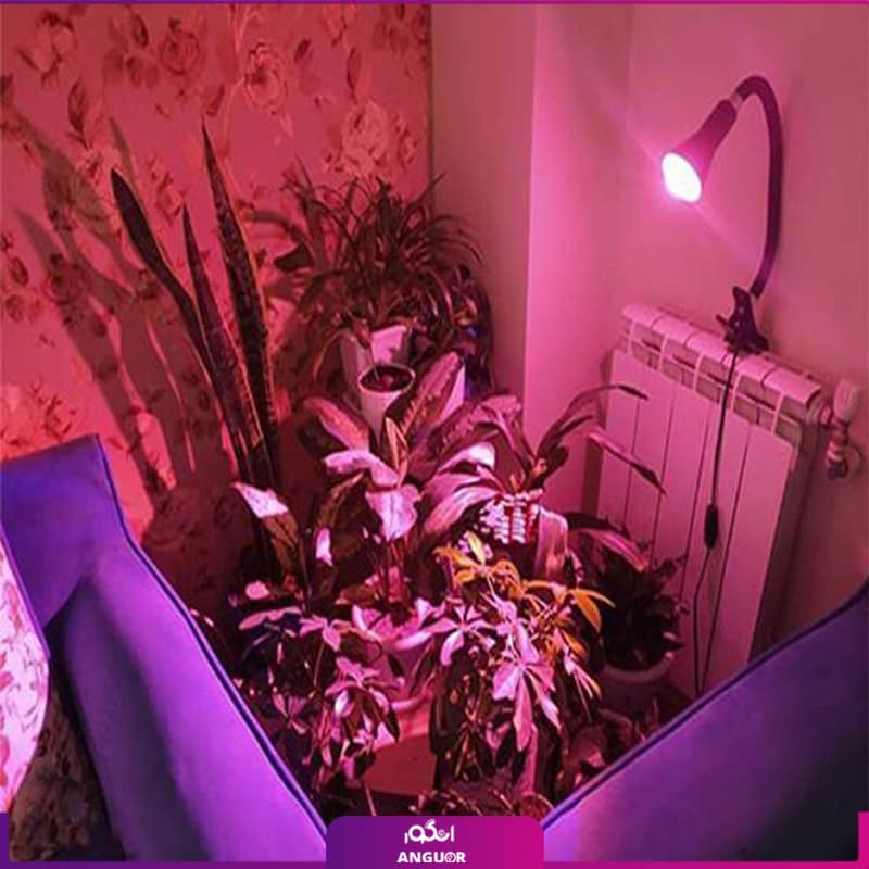 لامپ رشد گیاه 5 وات(led) سرپیچی — تصویر ۴