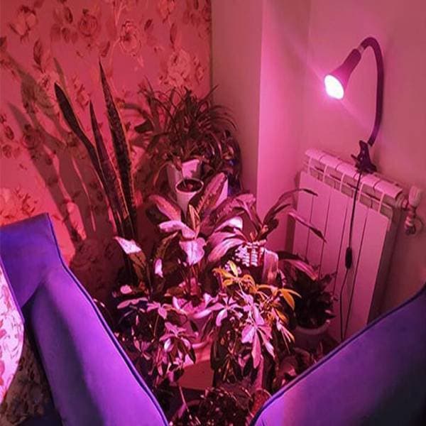 لامپ رشد گیاه 5 وات(led) سرپیچی — تصویر ۲