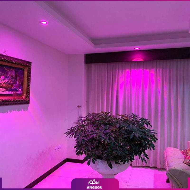 لامپ رشد گیاه 5 وات هالوژنی — تصویر ۱۱