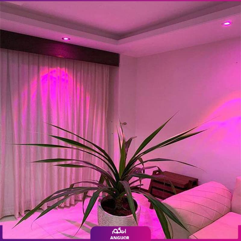 لامپ رشد گیاه 5 وات هالوژنی — تصویر ۱۰