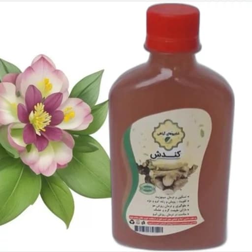 شامپو کندش | بهترین انتخاب برای موهای سالم — تصویر ۳