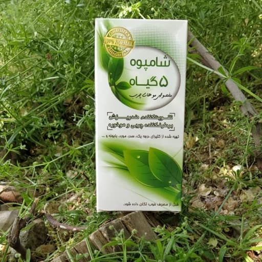 شامپو پنج گیاه اصل – خرید بهترین شامپو گیاهی ضد ریزش مو — تصویر ۳