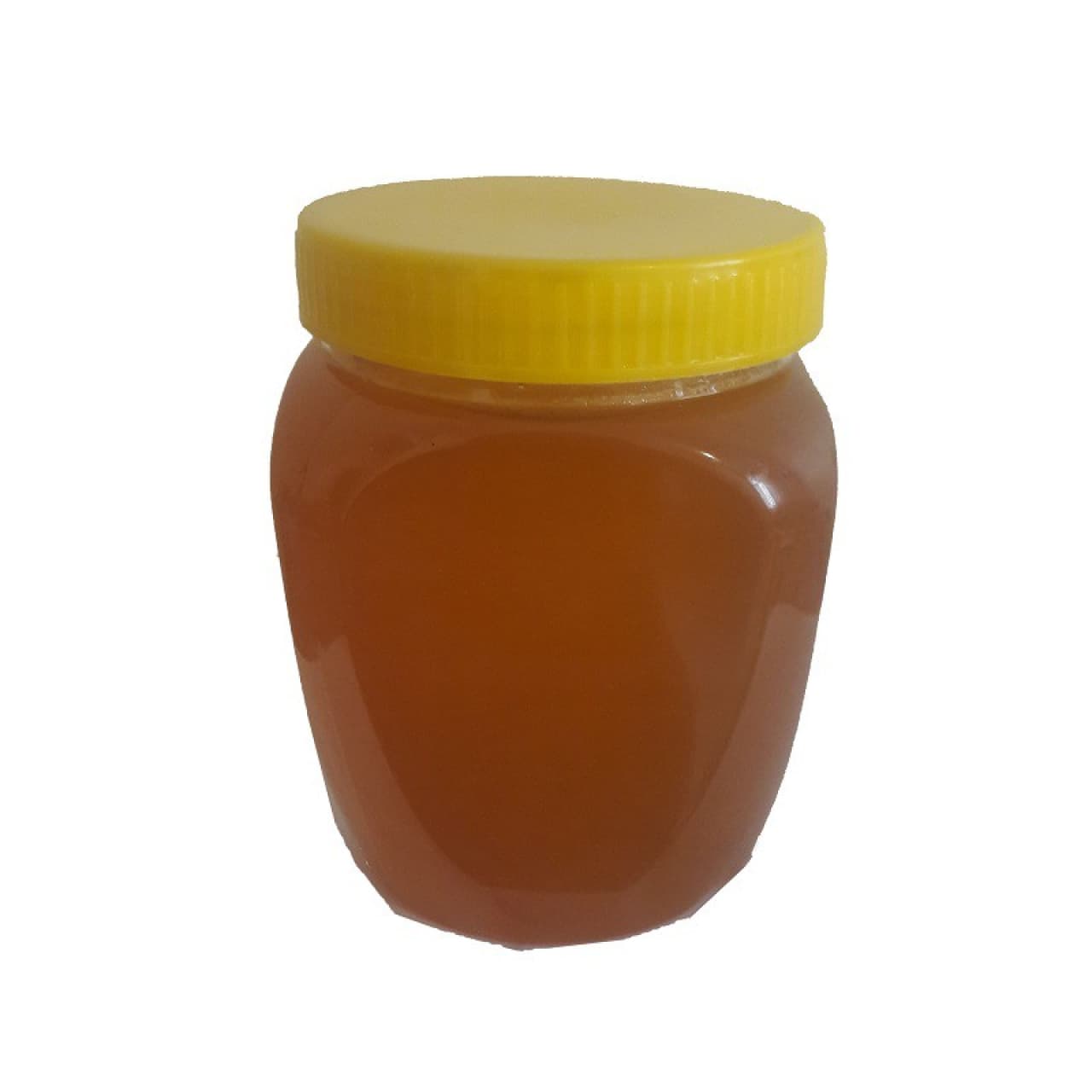 عسل کنار یک کیلویی اصل – خرید عسل سدر طبیعی و ارگانیک — تصویر ۲