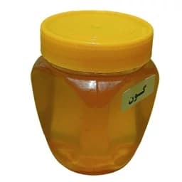 عسل گون یک کیلویی | عسل طبیعی و خالص از گیاه گون — تصویر ۲