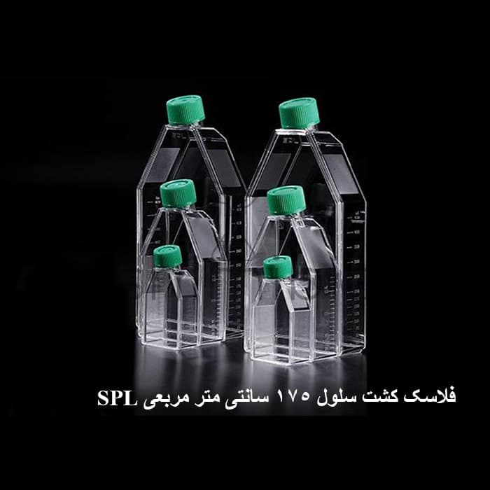فلاسک کشت سلول 175 سانت SPL