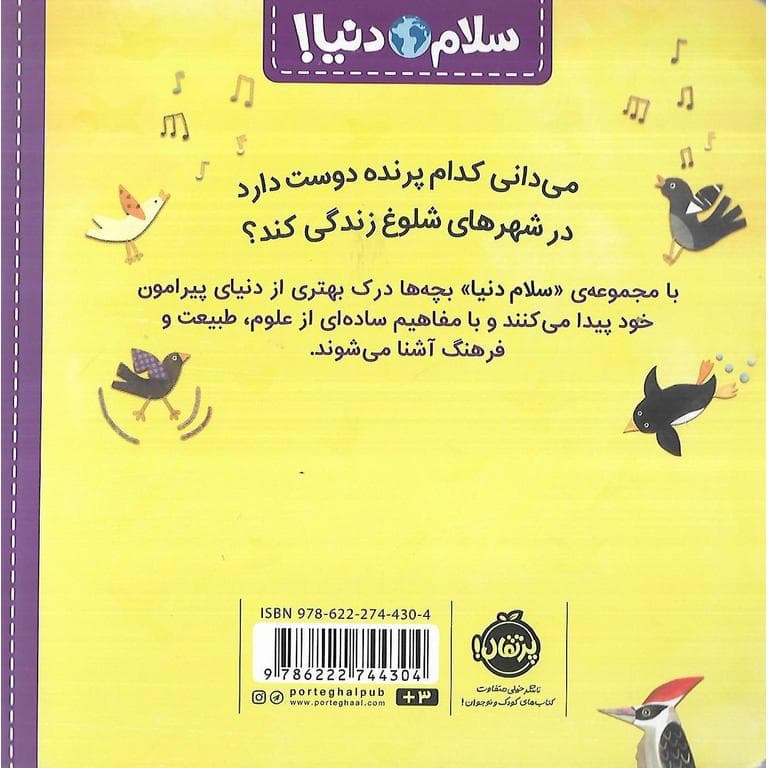 سلام دنیا (پرنده ها) پرتقال — تصویر ۳