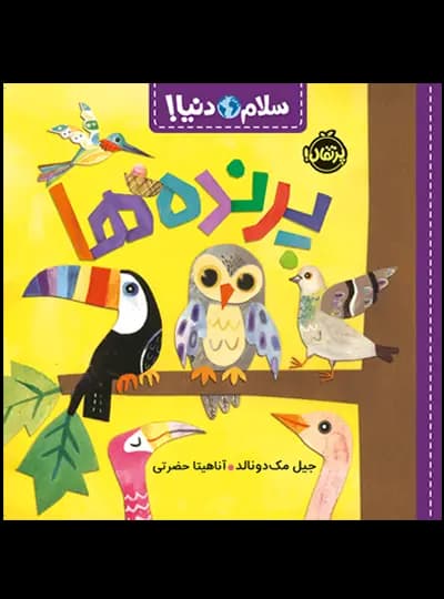 سلام دنیا (پرنده ها) پرتقال — تصویر ۴