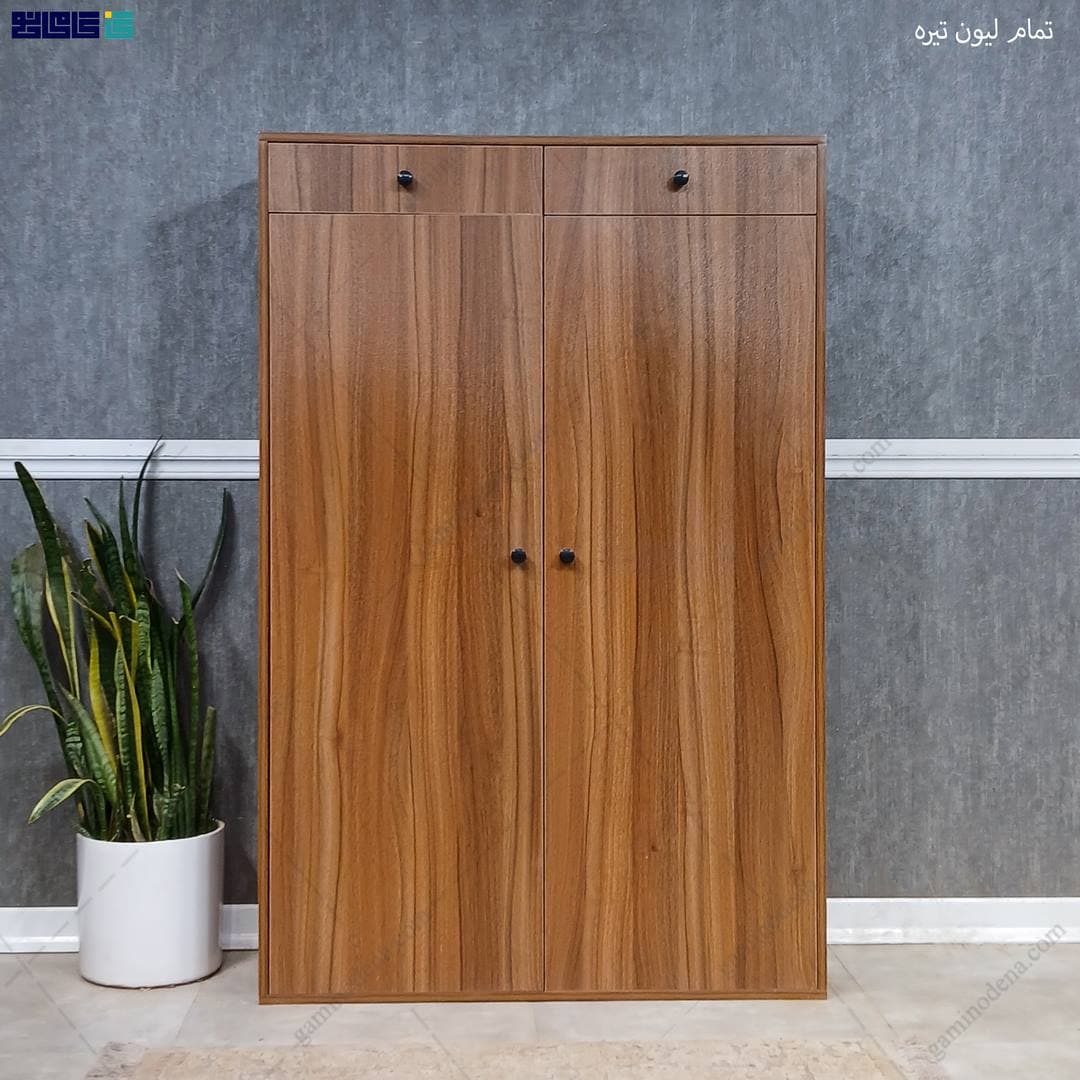 جاکفشی ایستاده گلرخ