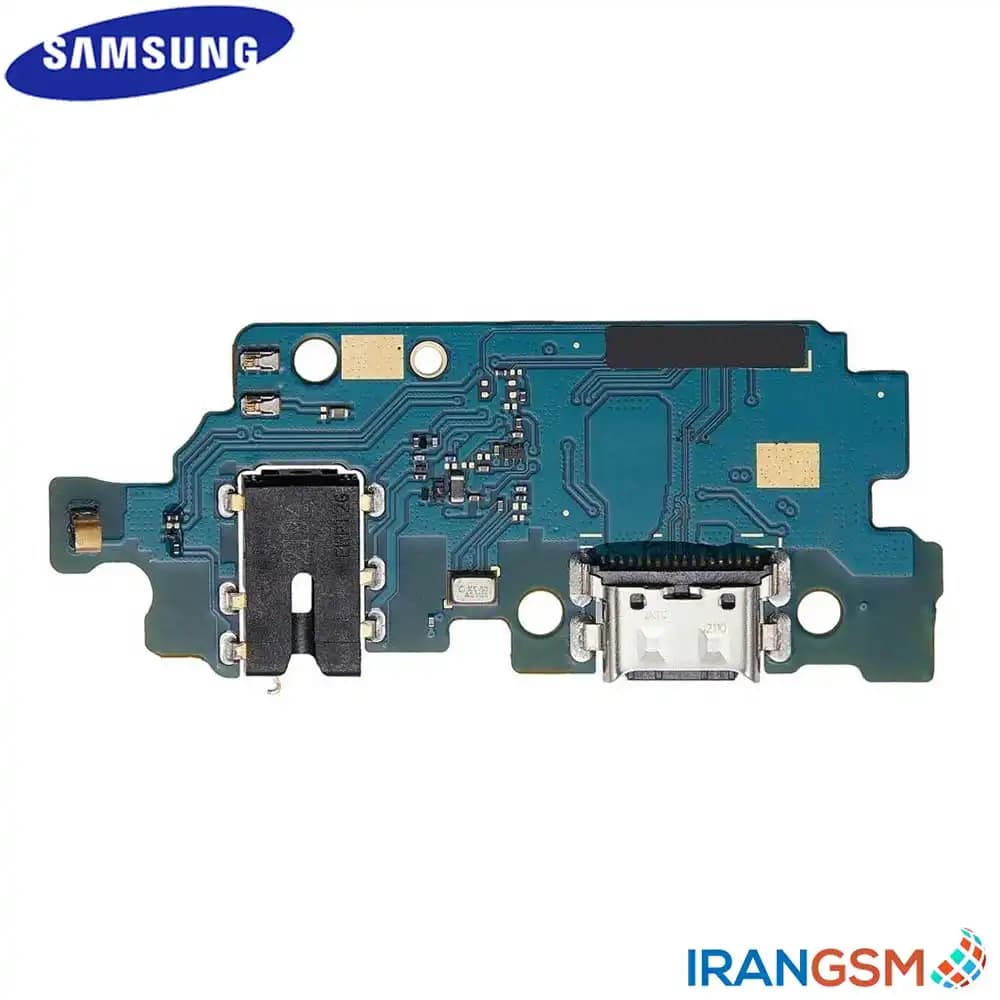 برد شارژ موبایل سامسونگ Samsung Galaxy M33 5G SM-M336B — تصویر ۳