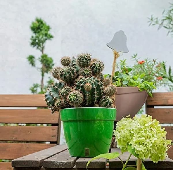 کود مایع تقویتی گیاهان خانگی میست مدل S4 حجم 300 میلی لیتر — تصویر ۴