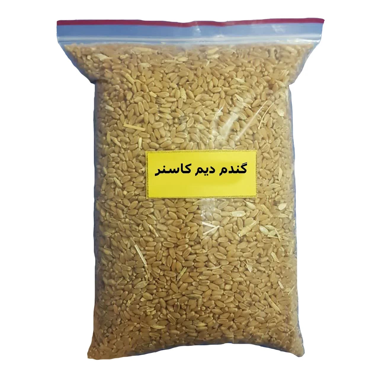گندم دیم کاسنر – 10000 گرم — تصویر ۲