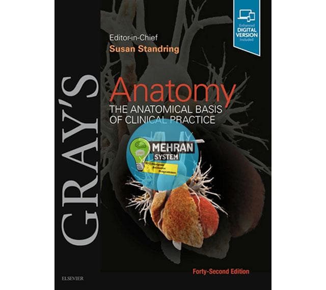 دانلود کتاب آناتومی گری Gray’s Anatomy 2022