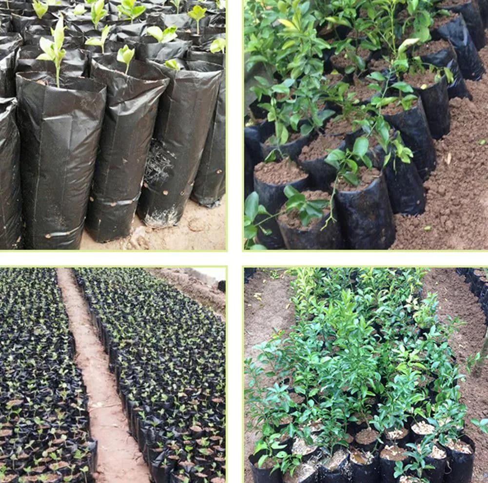 کیسه کاشت نهال مدل UV سایز 30*20 سانتی متر بسته 110 عددی — تصویر ۶
