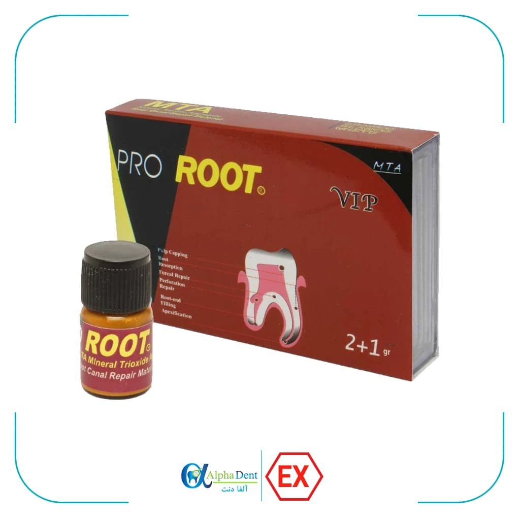 ام تی ای سینا دارو – MTA Pro Root