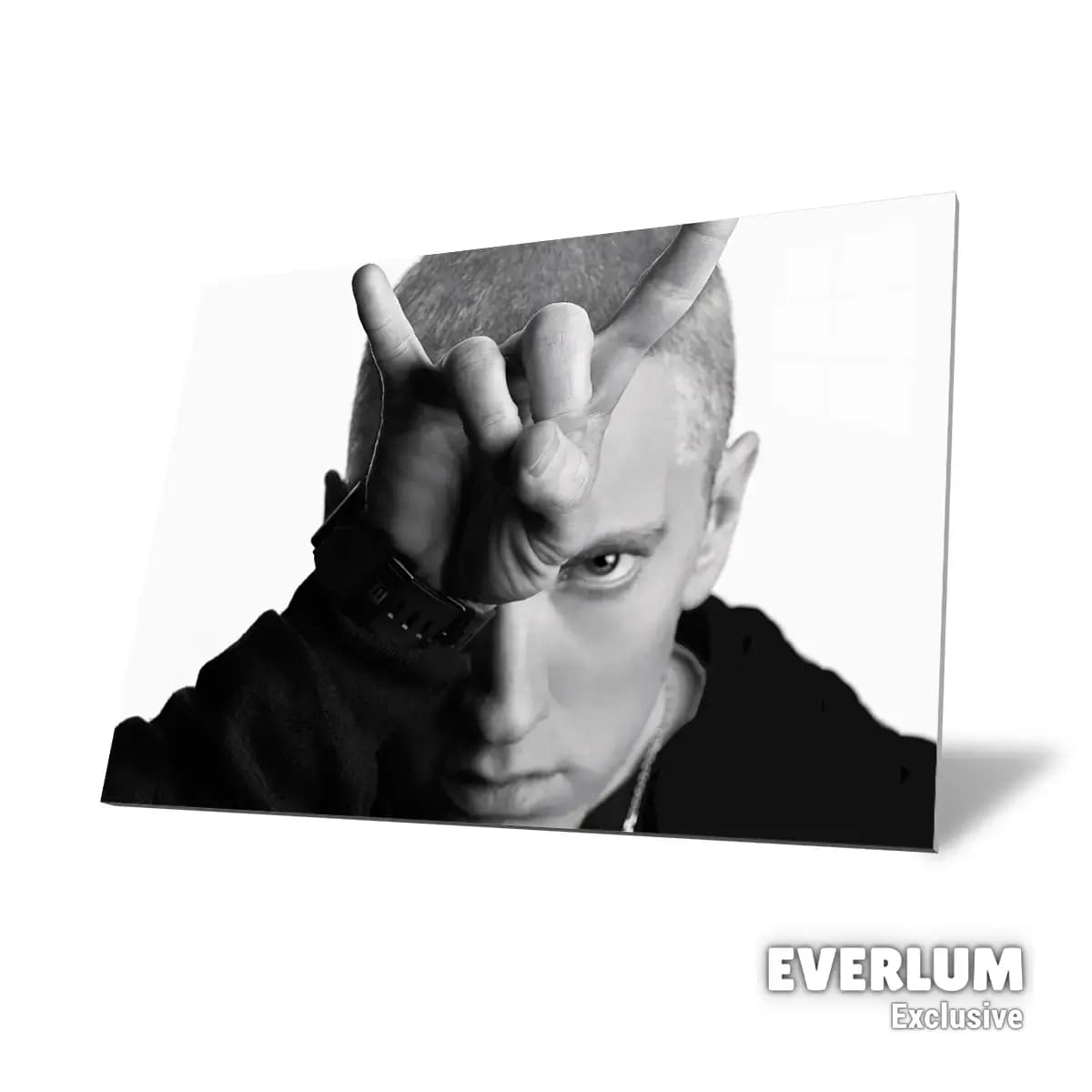 متال پوستر Eminem کد N202 — تصویر ۴