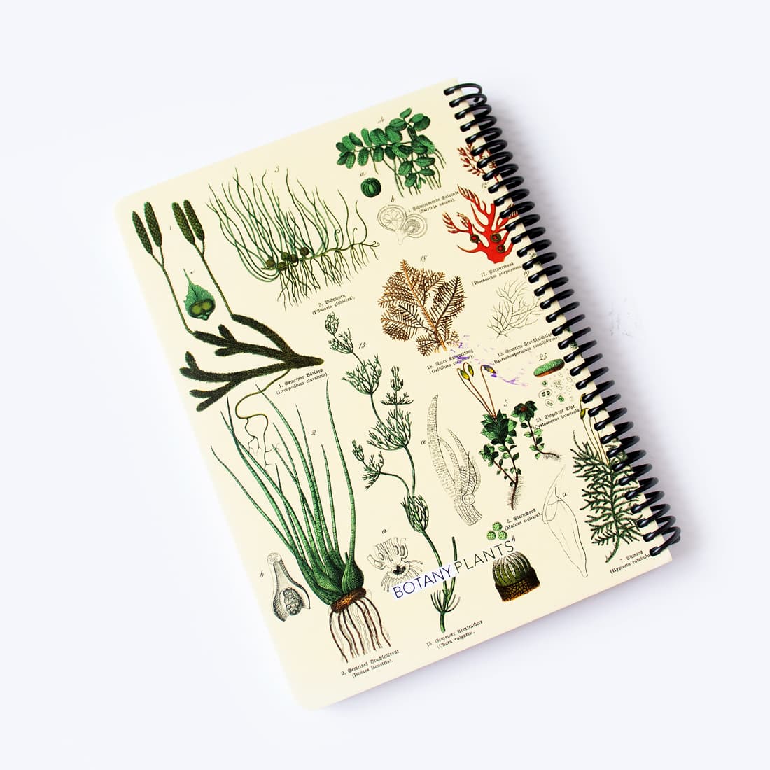 دفتر خط دار PLANTS دات نوت (dotnote) — تصویر ۲