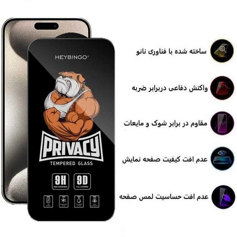 گلس محافظ صفحه نمایش حریم شخصی (پرایویسی) مدل Privacy Hey Bingo مناسب برای گوشی موبایل اپل iPhone 13 pro max — تصویر ۴