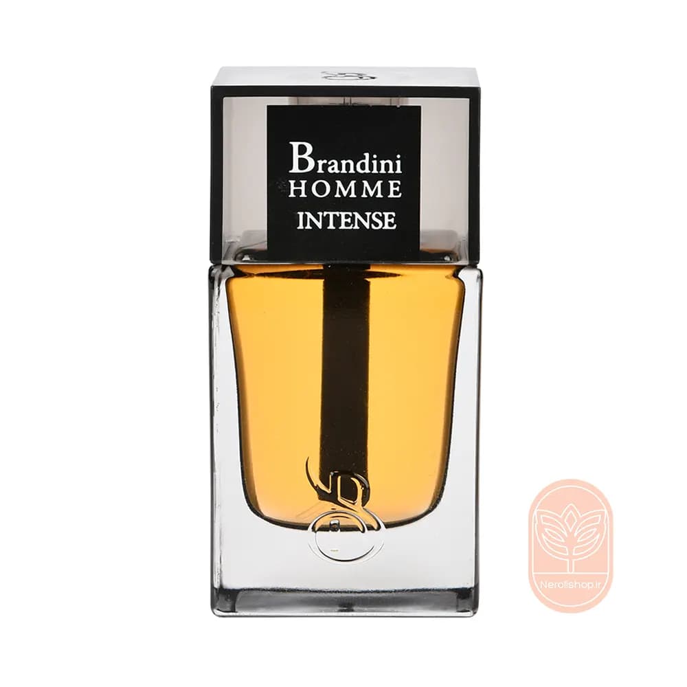 عطر دیور هوم اینتنس برندینی | Brandini Homme Intense — تصویر ۴