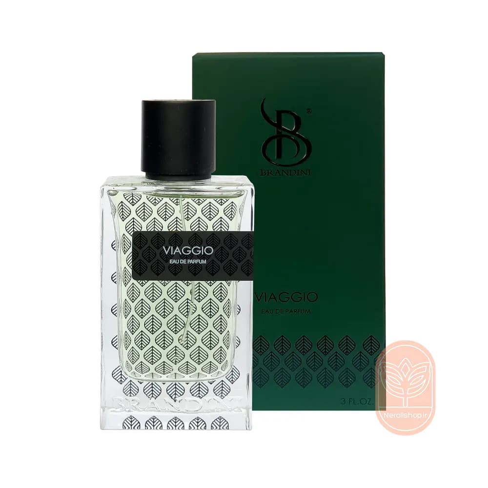 عطر مردانه ویاجیو برندینی | Brandini Viaggio